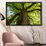 Tree Branch Tree Tree Branch Framed Canvas Prints Wall Art Home Decor - Painting Canvas, Black Frame, Framed Picture