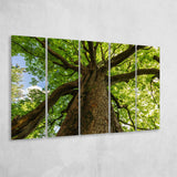 Tree Branch Tree Tree Branch Extra Large Canvas Prints Multi Panels B Wall Art Prints Home Decor