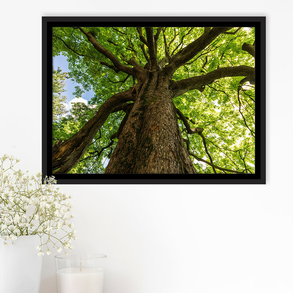 Tree Branch Tree Tree Branch Framed Canvas Prints Wall Art Home Decor - Painting Canvas, Black Frame, Framed Picture