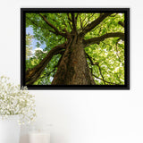 Tree Branch Tree Tree Branch Framed Canvas Prints Wall Art Home Decor - Painting Canvas, Black Frame, Framed Picture