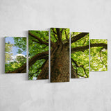 Tree Branch Tree Tree Branch Large Canvas Prints Multi Panels Wall Art Prints Home Decor