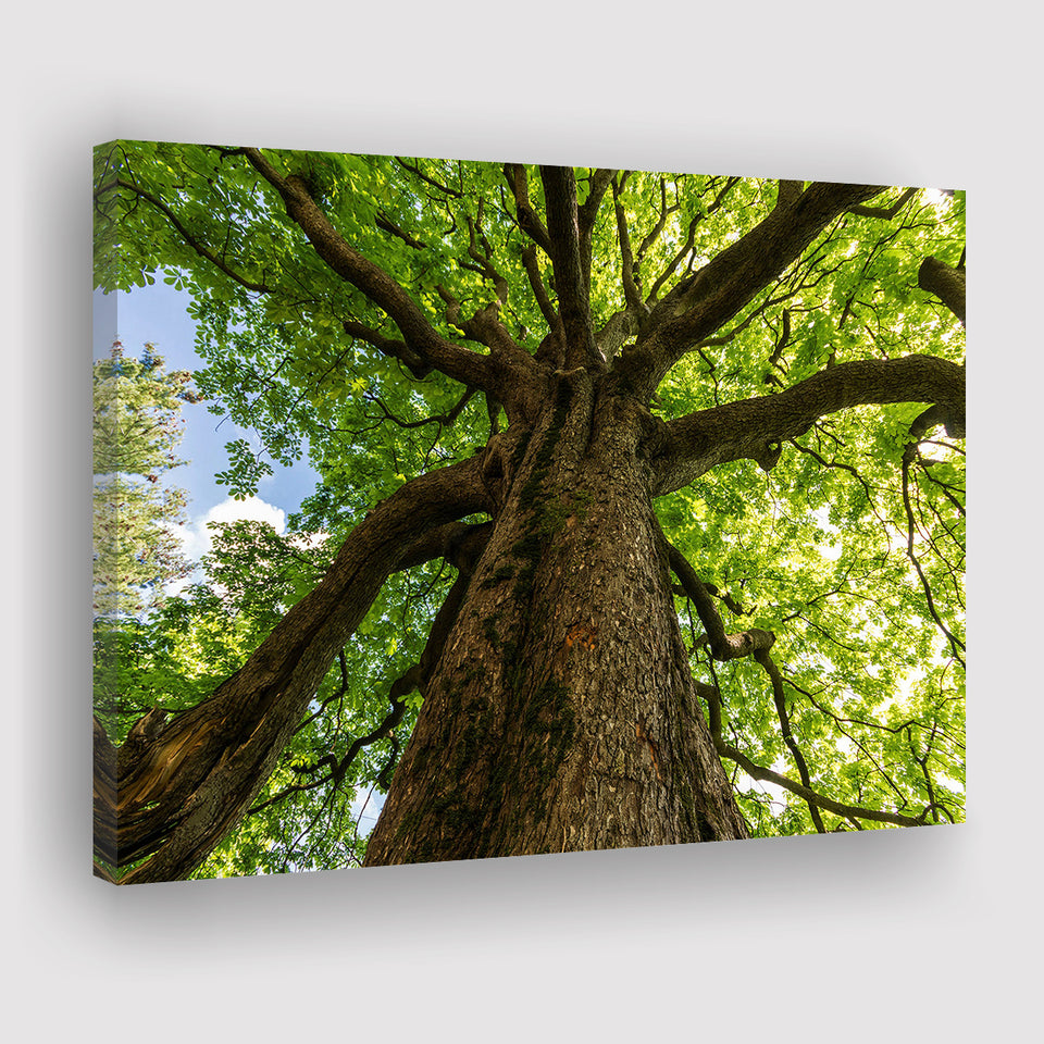 Tree Branch Tree Tree Branch Landscape Canvas Prints Wall Art Home Decor - Painting Canvas, Ready to hang