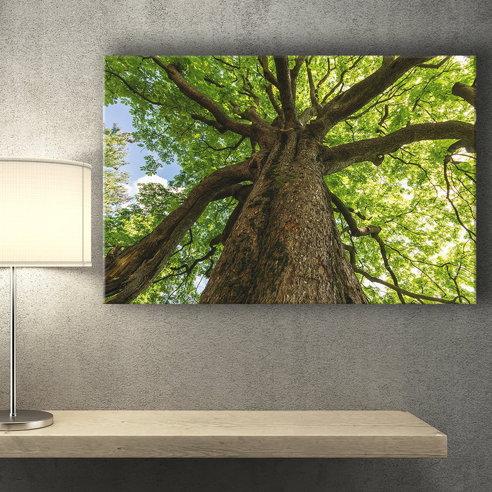 Tree Branch Tree Tree Branch Landscape Canvas Prints Wall Art Home Decor - Painting Canvas, Ready to hang