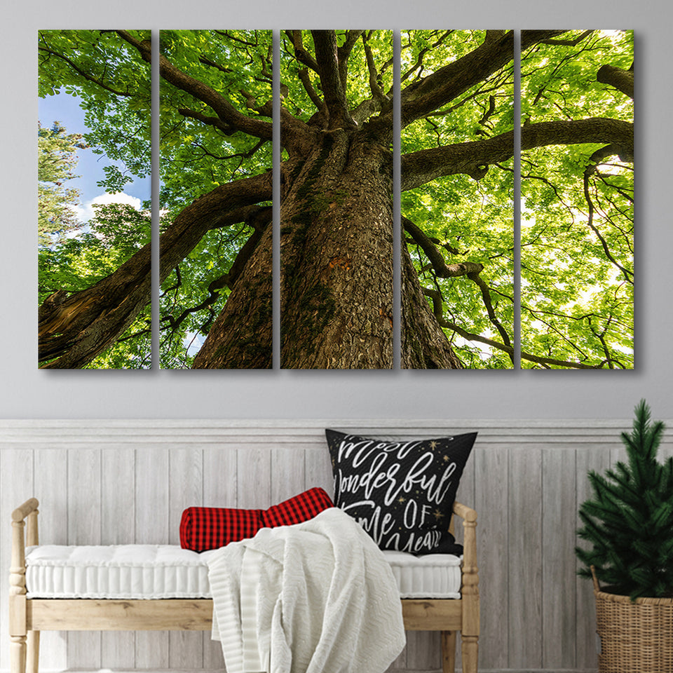 Natural Influence, Modern Interior Decorating with Tree Branches