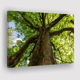 Tree Branch Tree Tree Branch Landscape Canvas Prints Wall Art Home Decor - Painting Canvas, Ready to hang