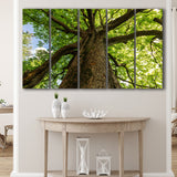 Tree Branch Tree Tree Branch Extra Large Canvas Prints Multi Panels B Wall Art Prints Home Decor