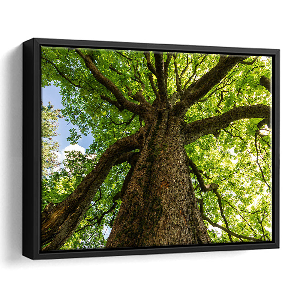 Tree Branch Tree Tree Branch Framed Canvas Prints Wall Art Home Decor - Painting Canvas, Black Frame, Framed Picture