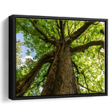 Tree Branch Tree Tree Branch Framed Canvas Prints Wall Art Home Decor - Painting Canvas, Black Frame, Framed Picture