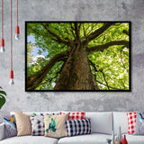 Tree Branch Framed Art Prints Wall Art Decor, Framed Picture, Home Decor