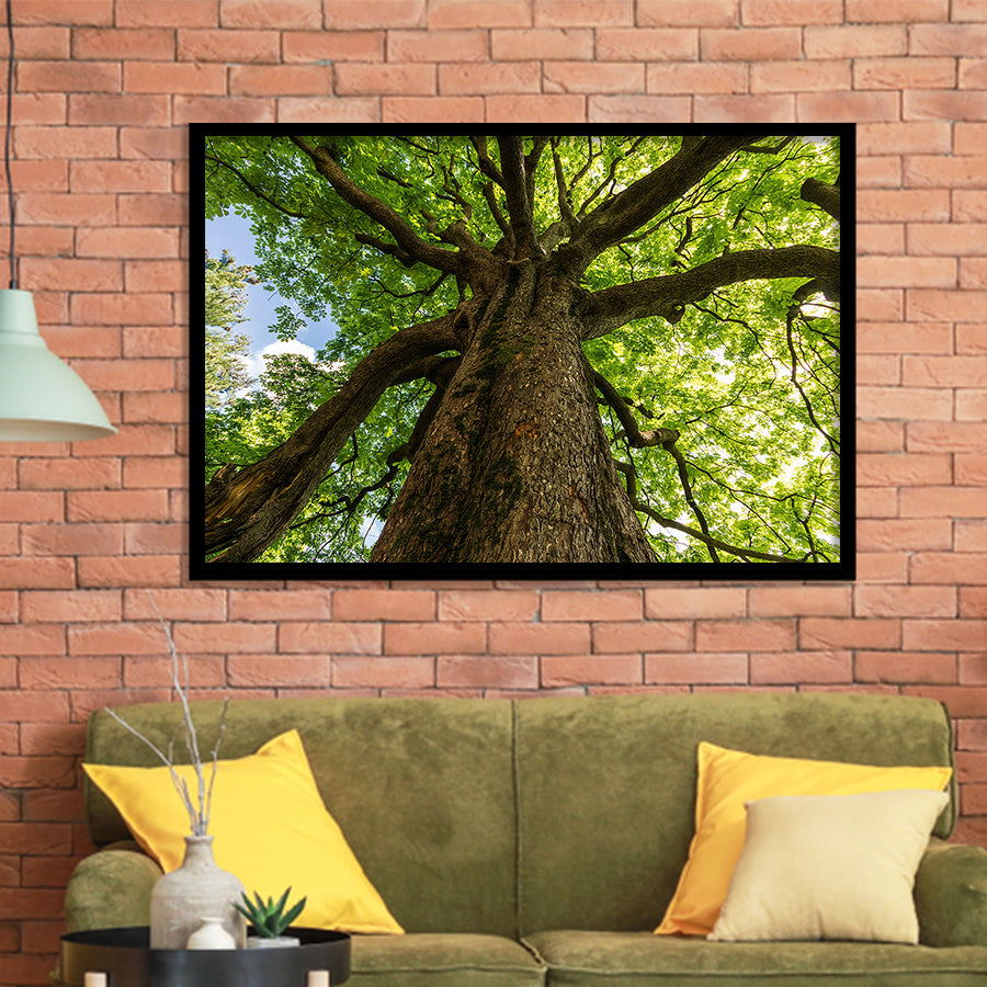 Tree Branch Framed Art Prints Wall Art Decor, Framed Picture, Home Decor