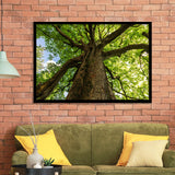 Tree Branch Framed Art Prints Wall Art Decor, Framed Picture, Home Decor