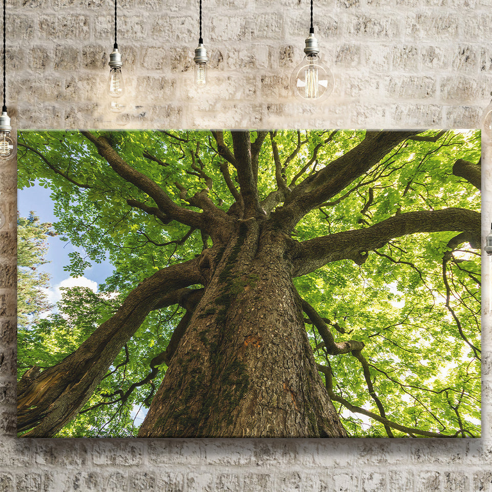 Tree Branch Canvas Prints Wall Art Decor - Painting Canvas,Home Decor, Ready to Hang