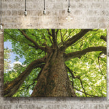 Tree Branch Canvas Prints Wall Art Decor - Painting Canvas,Home Decor, Ready to Hang