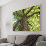 Tree Branch Canvas Prints Wall Art Decor - Painting Canvas,Home Decor, Ready to Hang