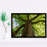 Tree Branch Framed Art Prints Wall Art Decor, Framed Picture, Home Decor