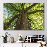 Tree Branch Canvas Prints Wall Art Decor - Painting Canvas,Home Decor, Ready to Hang