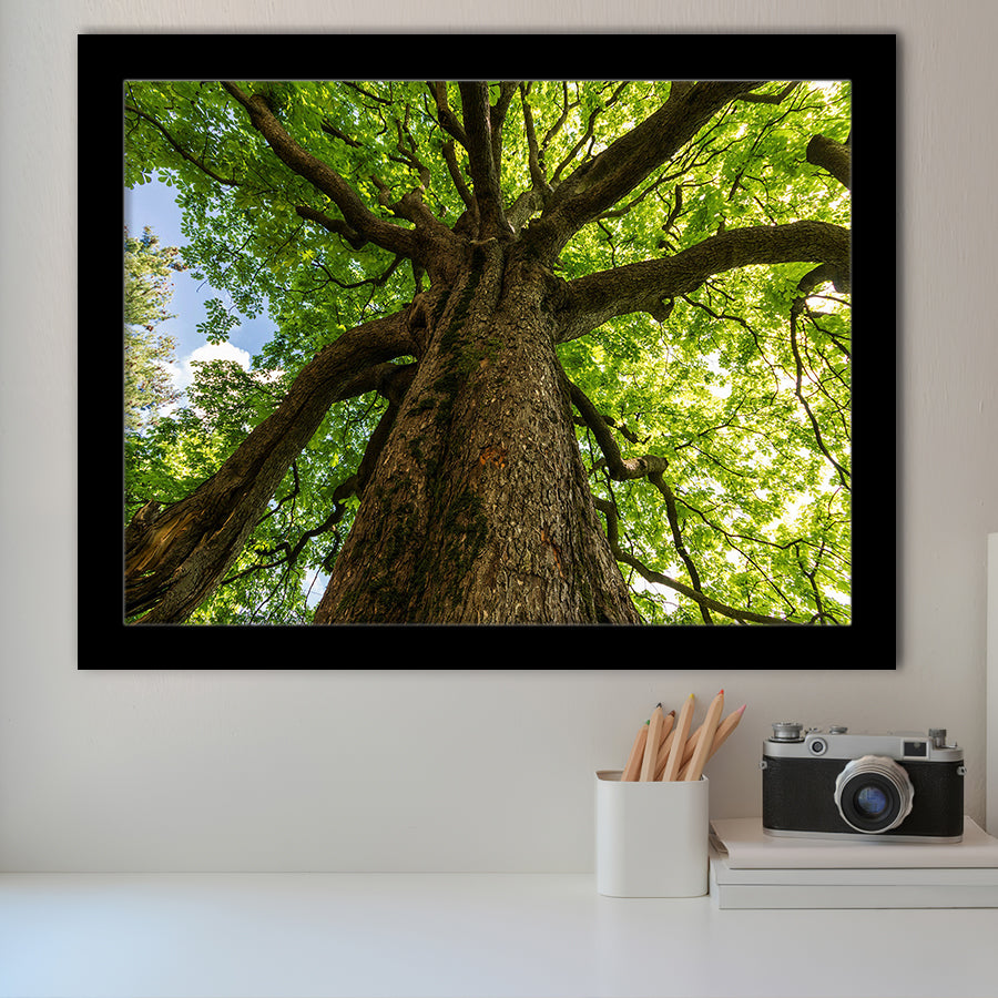 Tree Branch Framed Art Prints Wall Art Decor, Framed Picture, Home Decor