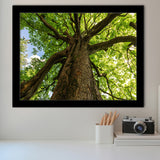 Tree Branch Framed Art Prints Wall Art Decor, Framed Picture, Home Decor