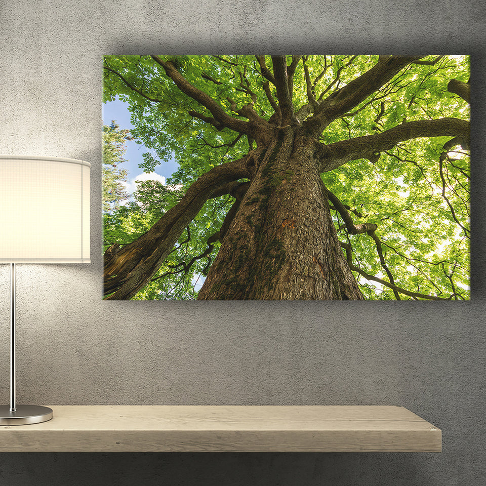 Tree Branch Canvas Prints Wall Art Decor - Painting Canvas,Home Decor, Ready to Hang