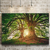 Tree Canvas Forest Nature Landscape Canvas Prints Wall Art Home Decor - Painting Canvas, Ready to hang