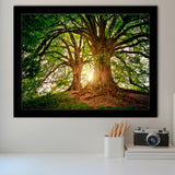 Tree Canvas Forest Nature Framed Art Prints Wall Decor - Painting Art,Framed Picture,For Sale, Ready to hang