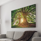 Tree Canvas Forest Nature Landscape Canvas Prints Wall Art Home Decor - Painting Canvas, Ready to hang