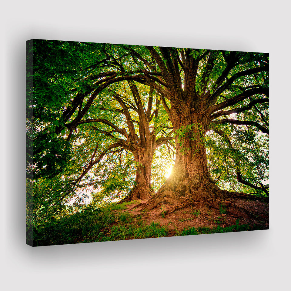 Tree Canvas Wall Art Canvas Prints Wall Art Decor - Painting Canvas,Home Decor, Ready to Hang