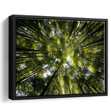 Tree Crowns Framed Canvas Prints Wall Art Decor - Paiting Canvas, Art Prints, Floating Frame