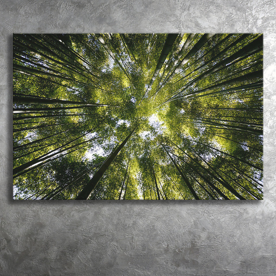 Tree Crowns Canvas Prints Wall Art Decor - Paiting Canvas, Art Prints, Wall Decor, For Sale