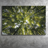 Tree Crowns Canvas Prints Wall Art Decor - Paiting Canvas, Art Prints, Wall Decor, For Sale