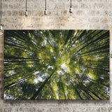 Tree Crowns Canvas Prints Wall Art Decor - Paiting Canvas, Art Prints, Wall Decor, For Sale