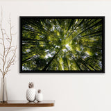 Tree Crowns Framed Canvas Prints Wall Art Decor - Paiting Canvas, Art Prints, Floating Frame
