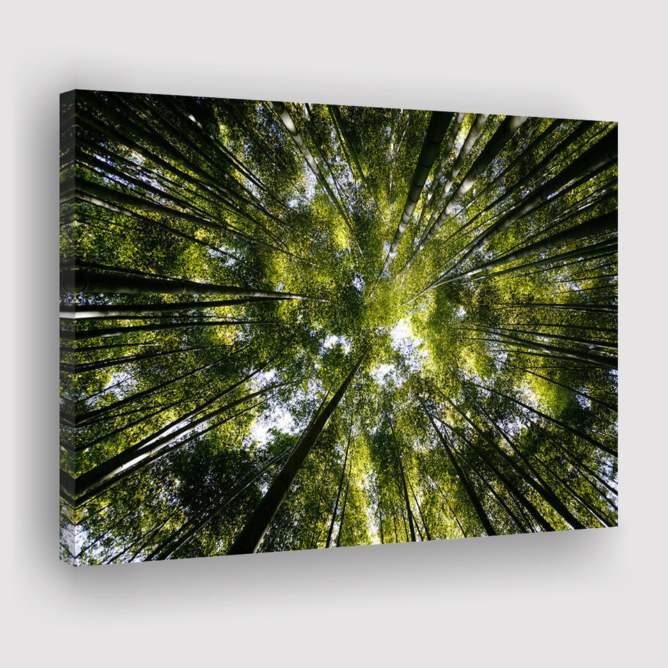 Tree Crowns Canvas Prints Wall Art Decor - Paiting Canvas, Art Prints, Wall Decor, For Sale