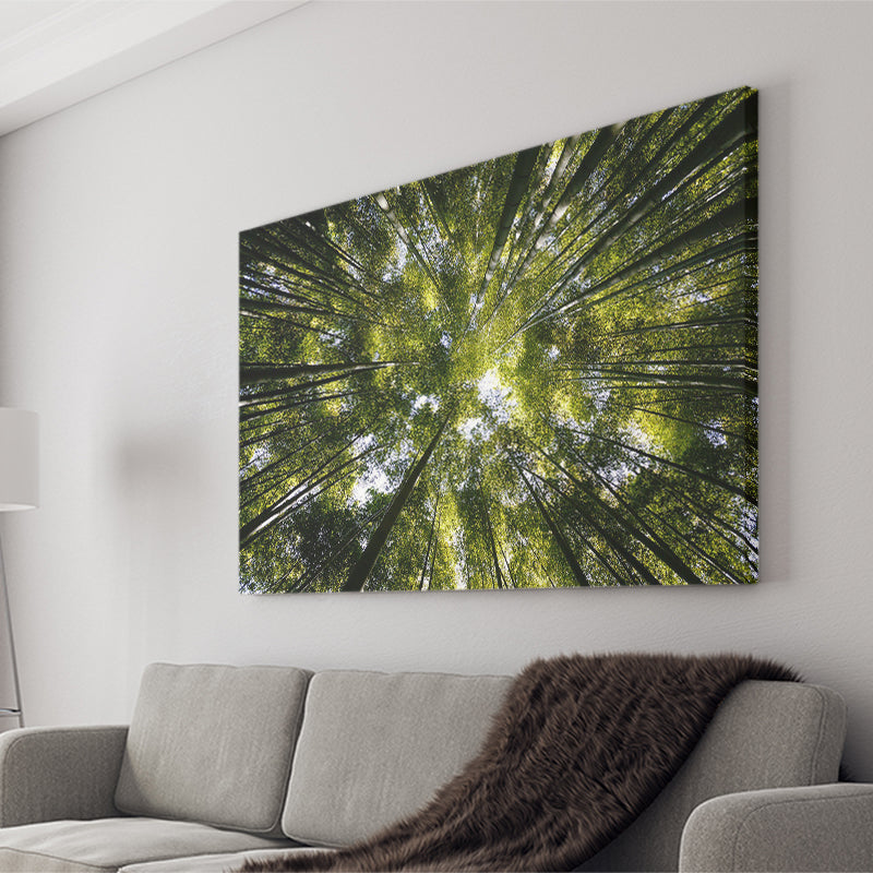 Tree Crowns Canvas Prints Wall Art Decor - Paiting Canvas, Art Prints, Wall Decor, For Sale