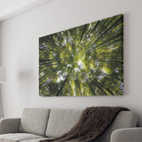 Tree Crowns Canvas Prints Wall Art Decor - Paiting Canvas, Art Prints, Wall Decor, For Sale
