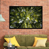 Tree Crowns Framed Art Prints Wall Decor - Painting Prints, Framed Picture, Home Decor