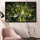 Tree Crowns Framed Canvas Prints Wall Art Decor - Paiting Canvas, Art Prints, Floating Frame