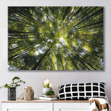 Tree Crowns Canvas Prints Wall Art Decor - Paiting Canvas, Art Prints, Wall Decor, For Sale