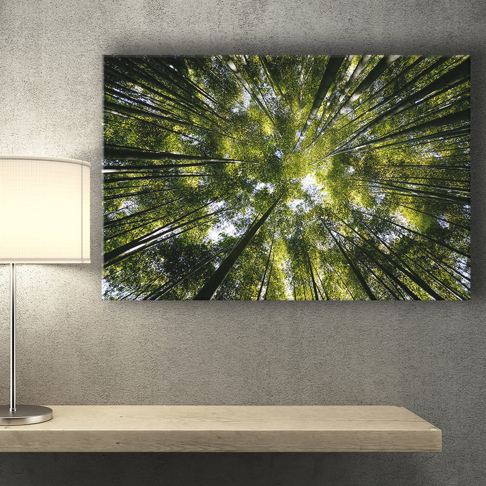 Tree Crowns Canvas Prints Wall Art Decor - Paiting Canvas, Art Prints, Wall Decor, For Sale