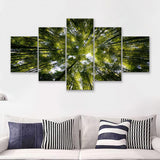 Tree Crowns 5 Piece Canvas Prints Wall Art Decor - Painting Canvas, Multi Panels