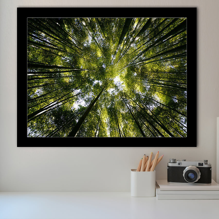 Tree Crowns Framed Art Prints Wall Decor - Painting Prints, Framed Picture, Home Decor