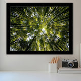 Tree Crowns Framed Art Prints Wall Decor - Painting Prints, Framed Picture, Home Decor