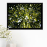 Tree Crowns Framed Canvas Prints Wall Art Decor - Paiting Canvas, Art Prints, Floating Frame