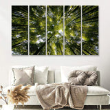 Tree Crowns 5 Piece B Canvas Prints Wall Art Decor - Painting Canvas, Multi Panels