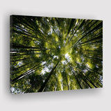 Tree Crowns Canvas Prints Wall Art Decor - Paiting Canvas, Art Prints, Wall Decor, For Sale