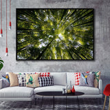 Tree Crowns Framed Canvas Prints Wall Art Decor - Paiting Canvas, Art Prints, Floating Frame