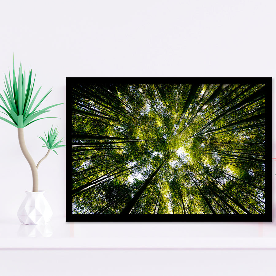 Tree Crowns Framed Art Prints Wall Decor - Painting Prints, Framed Picture, Home Decor