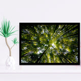 Tree Crowns Framed Art Prints Wall Decor - Painting Prints, Framed Picture, Home Decor