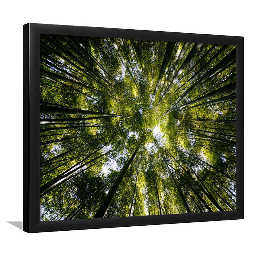 Tree Crowns Framed Art Prints Wall Decor - Painting Prints, Framed Picture, Home Decor
