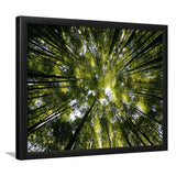Tree Crowns Framed Art Prints Wall Decor - Painting Prints, Framed Picture, Home Decor